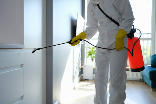 Best Residential Mold Remediation in Sellersville, PA